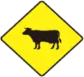 53 Animal