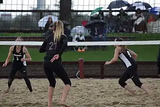 Beach volleyball, 2017