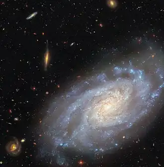 A spiral galaxy occupies most of the image. It is a slightly tilted disc of stars, yellow-white in the centre and blue in the outskirts, showing light from different stars in the galaxy. Its spiral arms curl outwards from the centre, speckled with blue star clusters. Dark reddish threads of dust swirl around the galaxy’s centre. The backdrop is four medium-sized and many small, distant galaxies on a black background.