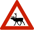 Animals (reindeer)