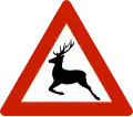 Animals (deer)