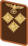 Gorget patch for Einsatzleiter