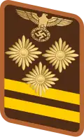 Gorget patch for Haupteinsatzleiter