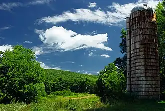 Landscape