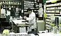 New York College Herbal Dispensary at the Muttontown campus