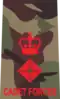 Lieutenant Colonel