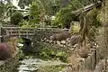Motions Creek at Auckland Zoo