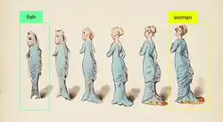 This illustration depicts a progression from a fish to a woman, showcasing transitional stages that defy classification boundaries, emphasising fluid states.