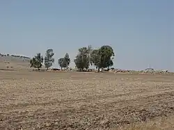 Site of Ahuzat Naftali