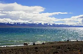 Nam Tso in Tibet, showing a rocky shore, deep blue lake water, and distant snow-capped mountains beneath a bright sky.
