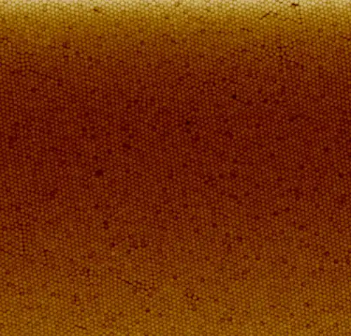 Polystyrene nanoparticle coating done with the Langmuir-Blodgett method