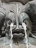 Close-up on the head of a fantastic dolphin, from which water gushes through its nostrils.