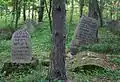 The Jewish Cemetery