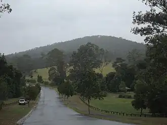 Nathanvale Road, 2016