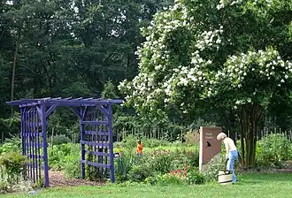 Youth garden.
