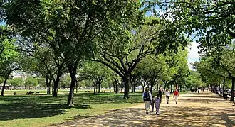 Image 9Facing east on the National Mall, as viewed near the 1300 block of Jefferson Drive, S.W. in April 2010. Rows of American elm trees line the sides of a path traversing the length of the Mall. (from National Mall)