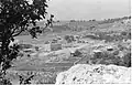 Nativ HaLamed-Heh, 1949
