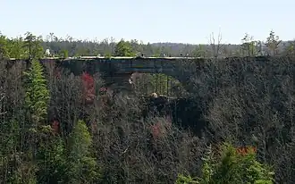 Natural Bridge as viewed from Lookout Point