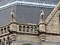 Terracotta lioness gargoyles and sculptures of sitting panthers on the western end tower, Natural History Museum