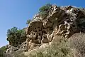 Prehistoric necropolis