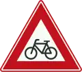 Cyclists and moped riders