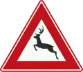 J27: Wild animals