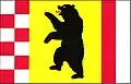 Flag of Nedvězí