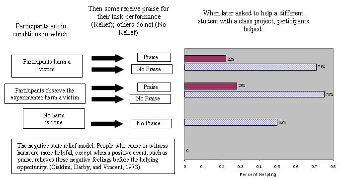 Negative State Relief Model