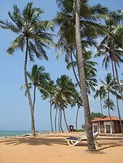 Negombo beach