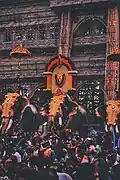 Nemmara Desam elephants