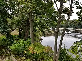 Riverscape
