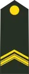 Sergeant der eerste klasse (Royal Netherlands Army)[13]