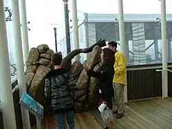 Artwork at the aquarium