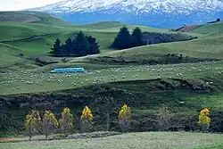 Image 38Rural landscape close to Mt Ruapehu (from Geography of New Zealand)