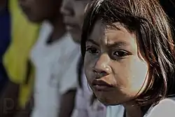 Image 16Guaraní girl in Yrapú, Misiones Province. (from Indigenous peoples in Argentina)