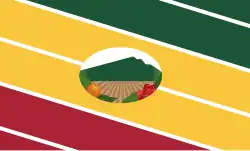 Flag of Nirgua