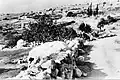 Nitaf 1948