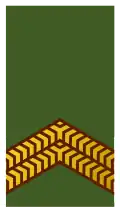 Korporaal der 1e klasse (Suriname Army)[18]