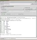 NmapFE, showing results for a port scan against Wikipedia