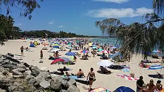 Noosa main beach