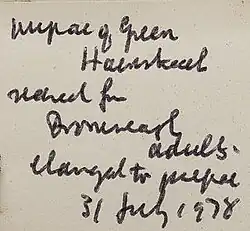 hand-written text reading "Pupae of Green Hairstreak reared from Dromreagh adults. Changed to pupae 31 July 1978"