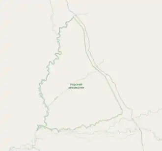 Nora Zapovednik