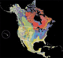 A geological map of the North American Continent.