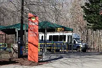 Tram Bus