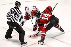 Scamurra playing for the Northeastern Huskies, 2017