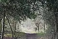 Northmoor Hill Wood