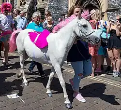 A pony dressed as a unicorn in 2018