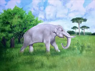 Notiomastodon
