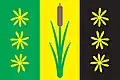 Flag of Nová Ves u Bakova