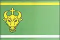 Flag of Nový Dům